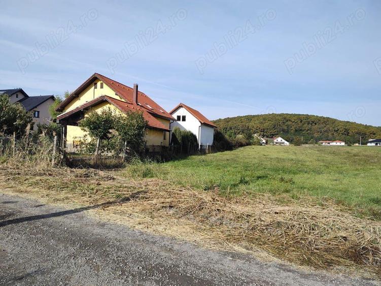 4300 mp - Teren intravilan Reghin , la iesirea spre Dedrad - 3