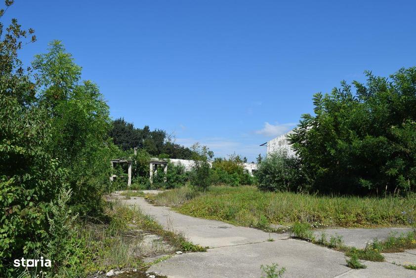 Proprietar vand teren ?i fabrica -Deta-Timis Oportunitate! Investitie! - 3