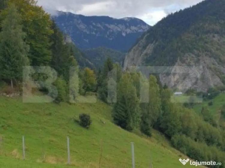 Teren 13.570 mp, Moieciu Pestera - 6