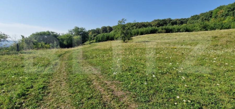 Teren Construcții extravilan de 10000 mp, în Sud-Est