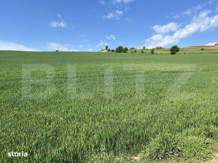 Teren generos 15.900 mp (intravilan + extravilan) in Sancraiu de Mures - 3