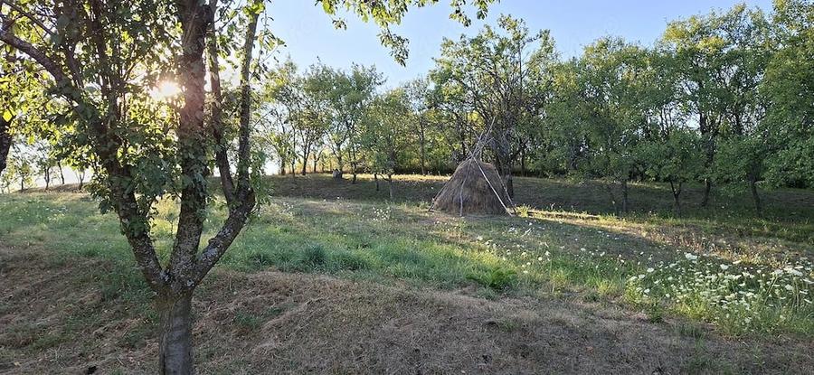Teren de 1000 mp, în Vâlcele