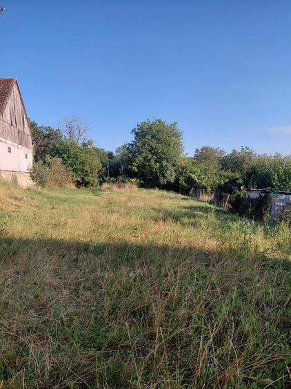 Teren de 1450 mp, în Bungard