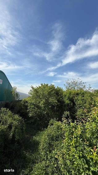 Teren intravilan mixt Buftea Corbeanca MEGAOCAZIE | 2527 mp | Ideal - 1