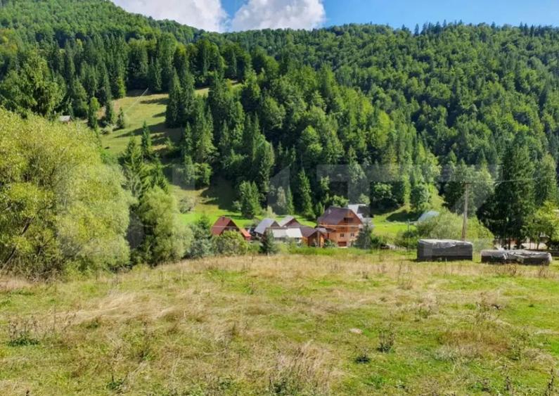 Teren intravilan 3015 mp, Garda de Sus, Ghetarul Scarisoara - 4