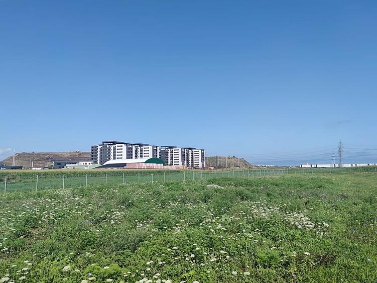 Teren intravilan cu potențial excelent în Triaj, Narciselor, pentru dezvoltatori - 9