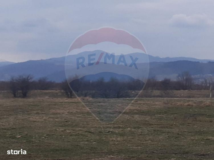 Teren 10,000mp Rasnov / Drumul Panicel - 8