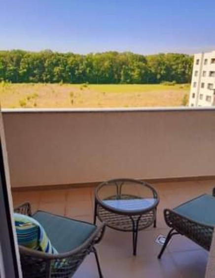 Apartament 2 camere Greenfield mobilat - 11