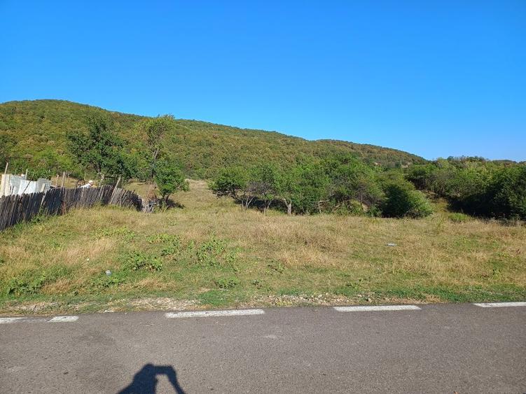 Teren intravilan sat Poiana Cristei - 6