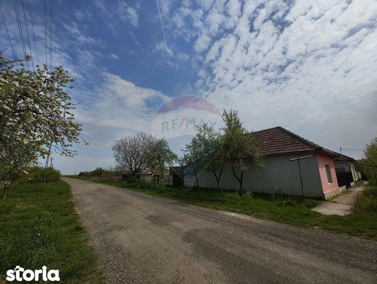 Casa de vanzare cu teren de 2175 mp,anexe si livada generoasa | Mailat - 2
