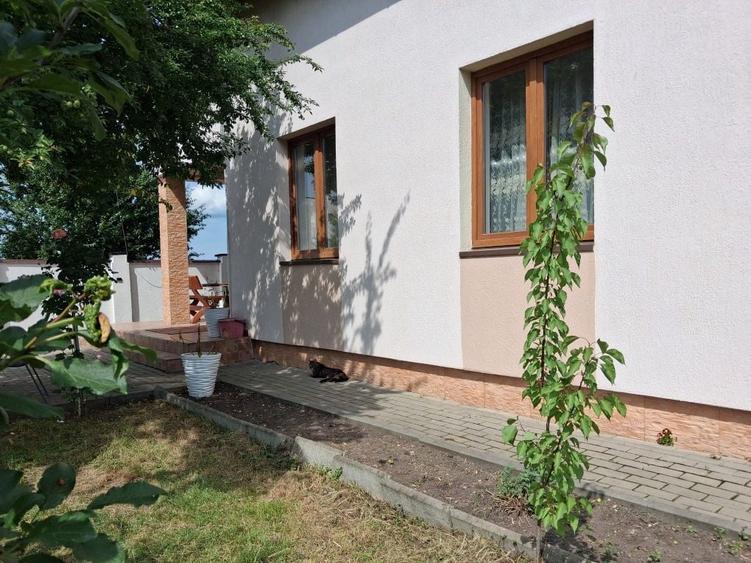 Casa de Vanzare Drumul Petrestiului - 6