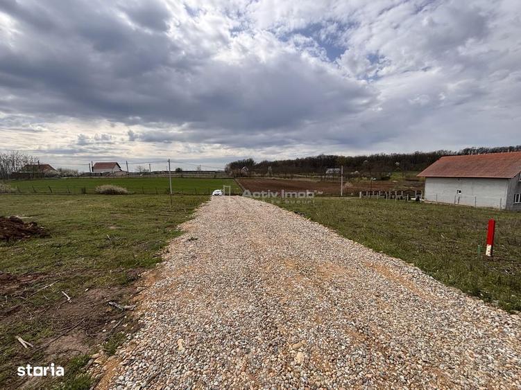 Teren Intravilan Pausa - 4