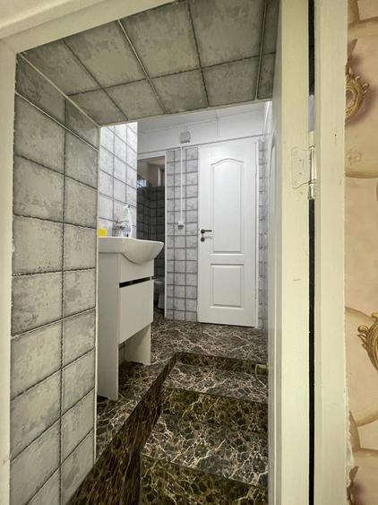 Brancoveanu-Nitu Vasile | Casa Individuala- D+P+1+M - 19