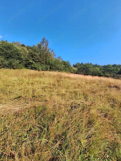 Vanzare casa de vacanta + teren in Moieciu de Jos(jud.Brasov) - 3