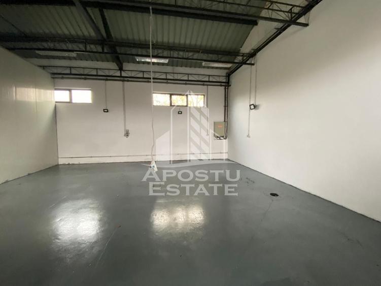 Hala de inchiriat Timisoara - Dambovita, depozitare, service auto - 3