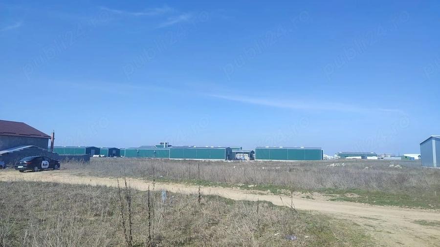 Vand teren Preajba,Dolj -Solarex - 2