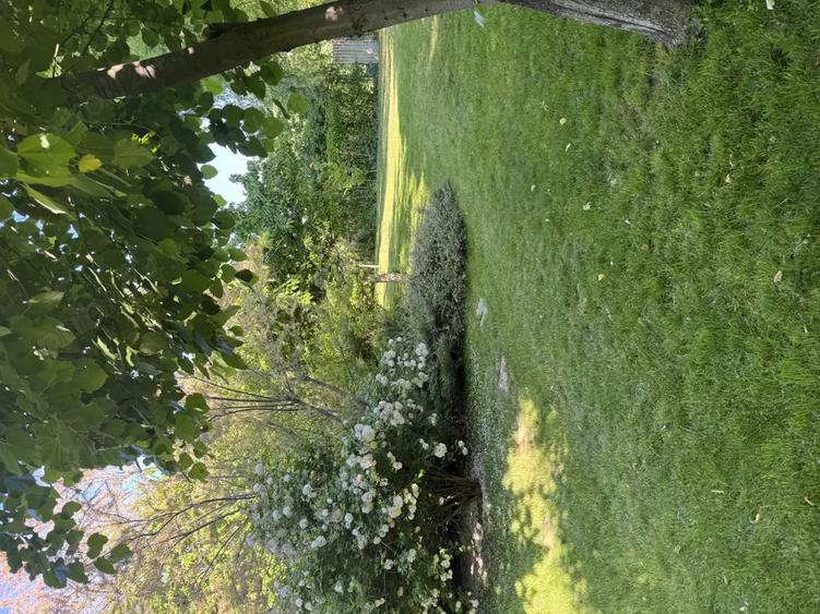 Vand proprietate deosebita in Bragadiru-Prelungirea Ghencea. - 10