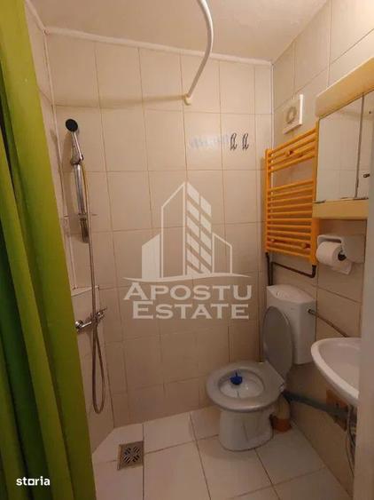 Apartament cu 1 camera, Timisoara, zona Take Ionescu - 1