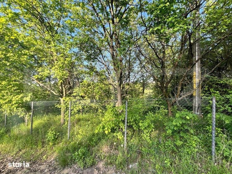 Teren intravilan ,cu vegetatie, 2700 mp, zona Siret - 1