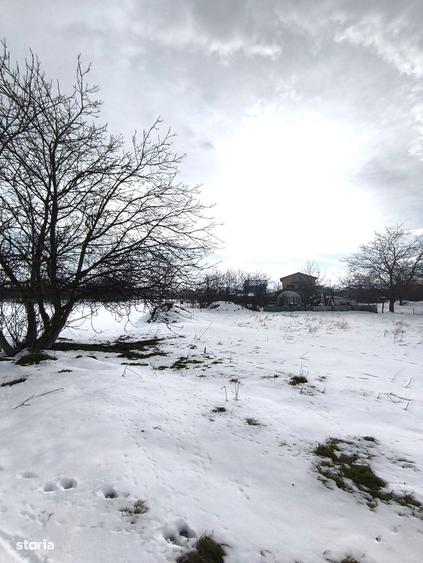 JilavaTeren Intravilan Construibil615 mp65 EUR/mp-COMISION 0% - 4