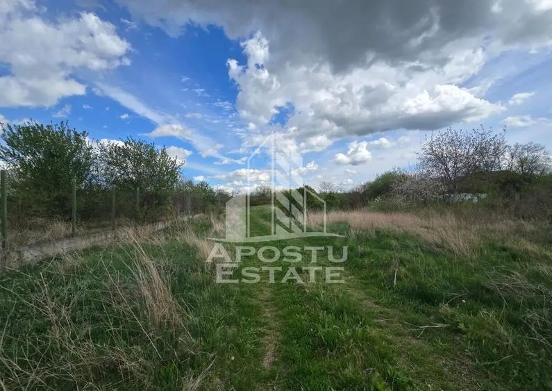 Teren 2000 mp Intravilan - 3