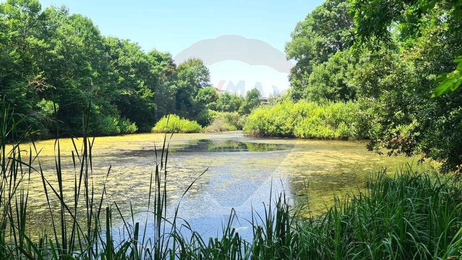 Casa  Vila cu 4 camere de inchiriat Cernica langa padure - 21