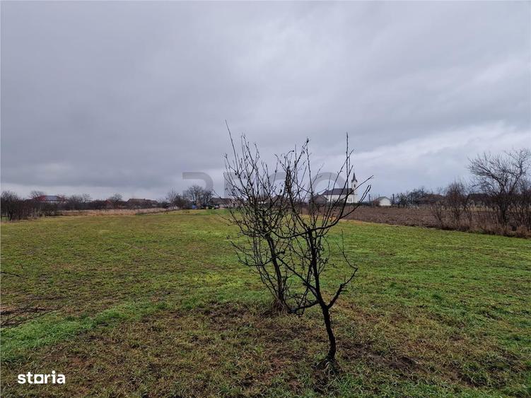 Teren mare cu 2 case de demolat in Gepiu - 2