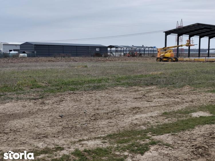 FARA COMISIOANE LOTURI TEREN CONSTRUCTII HALE in ZONA DE HALE merita v - 3