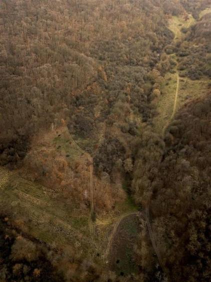 RECO . Teren extravilan . Saldabagiu de munte . - 5