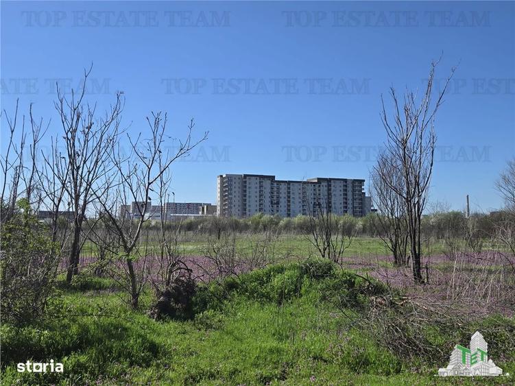 TEREN Intravilan 8.500 mp PACII - 7