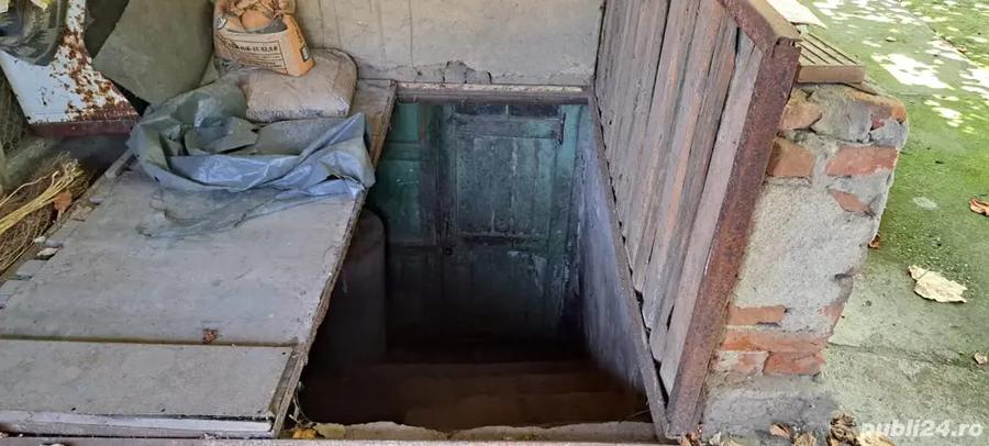 Casa de vanzare, comuna Cujmir, Mehedin?i, beci, fantana, gradina, 686 mp total - 3