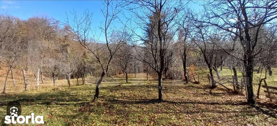 Oportunitate de investitie agricola Teren extravilan de 29.863 mp - 1