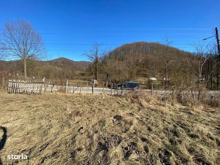 TEREN DE VANZARE -SULTANU,VISINESTI - 1