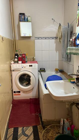 Colentina Teiul Doamnei - 4