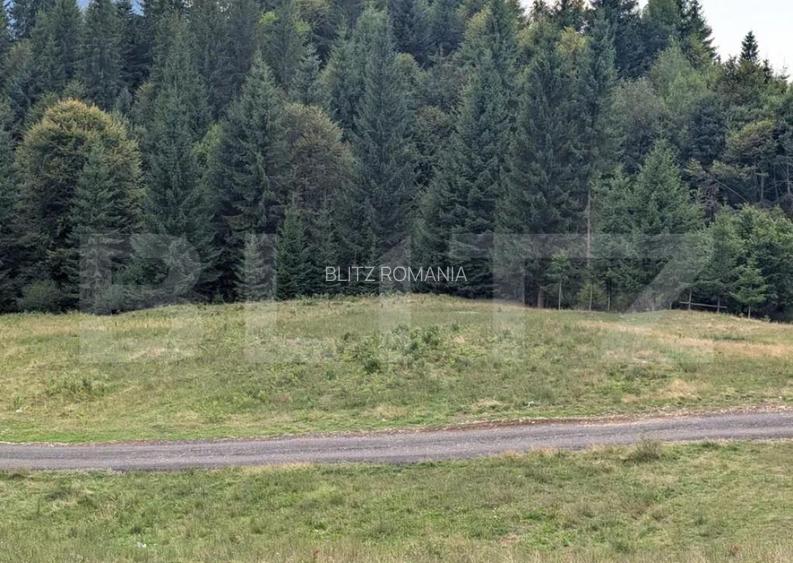 Teren intravilan de vanzare in Colibi?a oportunitate Teren intravilan de vanzare in Colibi?a oportunitate