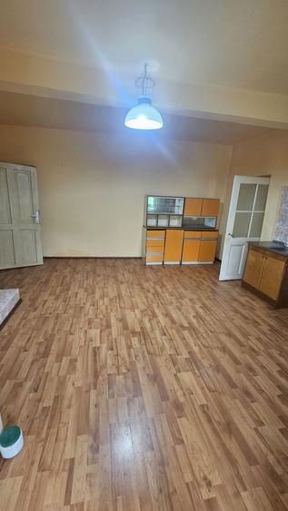 Vand casa familiala sat. Mailat, com.Vinga ! - 3