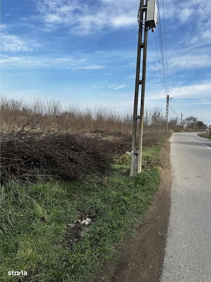 Parcele Intravilan 5km de Salonta Utilitati si asfalt - 1