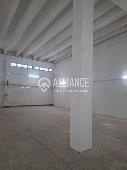 ZONA INDUSTRIALA (COD04)-Hala 270 mp ideal service auto - 6