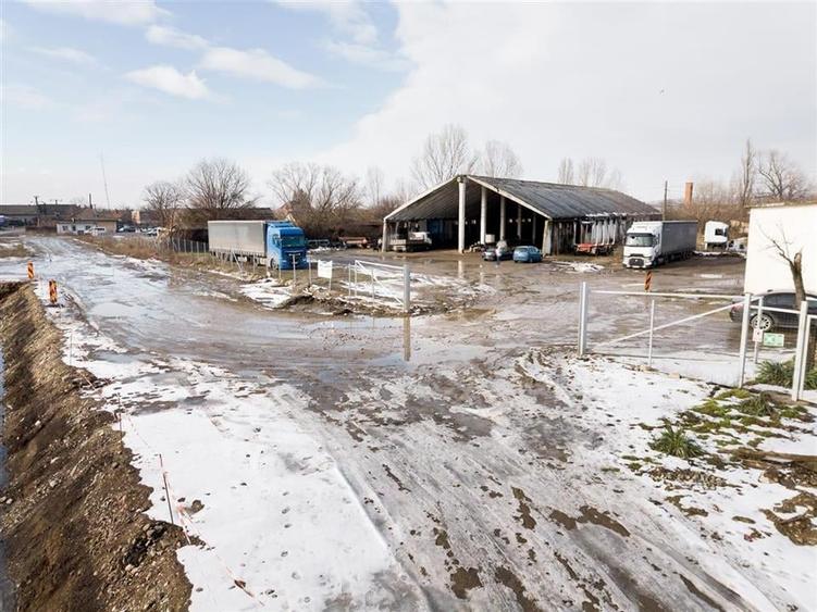 RECO . Proprietate industriala Tileagd . - 10