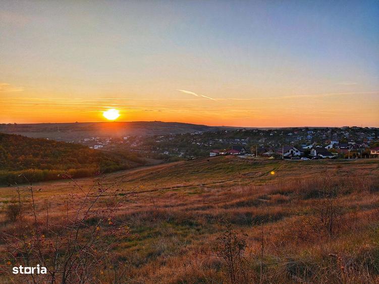 Teren intravilan 704 mp, acces asfaltat, priveliste Padurea Breazu - 7