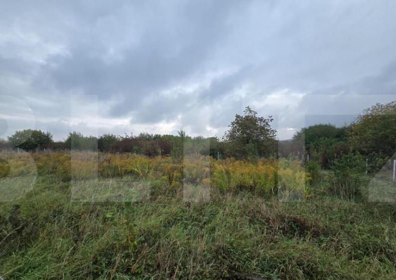 Teren de vanzare, 700 mp, strada Mihai Romanul - 3