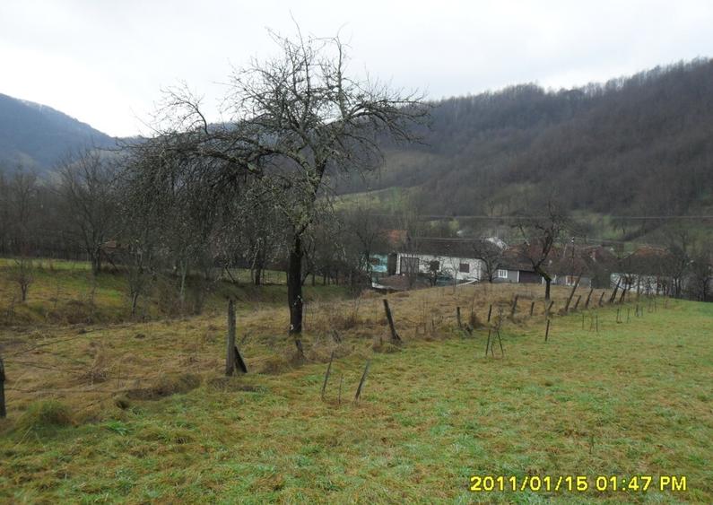 Vand teren in Ranusa - 9