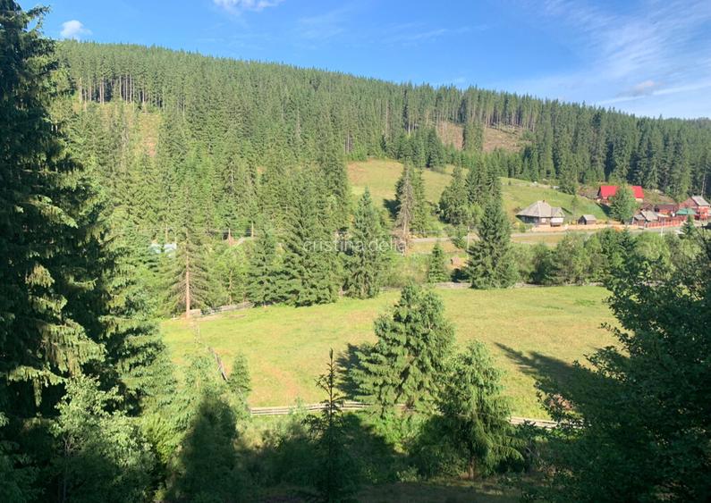 Teren intravilan in satul Poiana Horea 7700mp