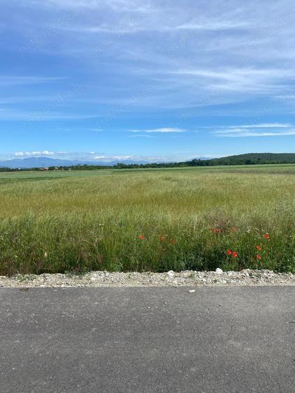 Teren in Galicea, ideal pentru casa sau afacere - 4