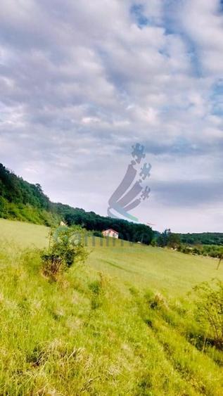 Teren de vanzare, la iesirea din Baile Felix, Bihor - 3