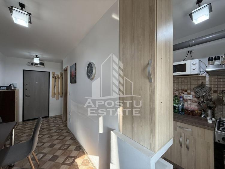 Apartament cu o camera, 38mp, renovat, luminos, zona Lunei - 9