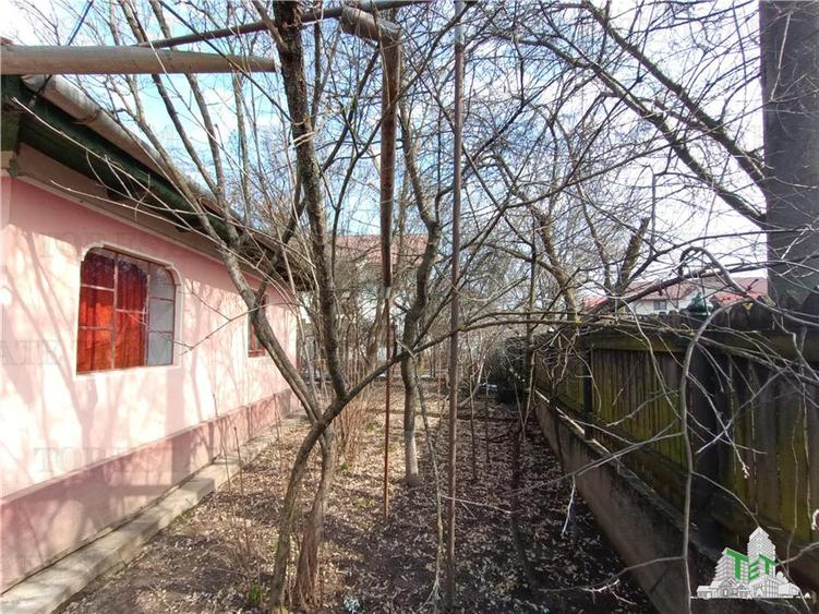 Casa taraneasca traditionala pe parter cu gradina si livada 1700mp in Gruiu, la - 6