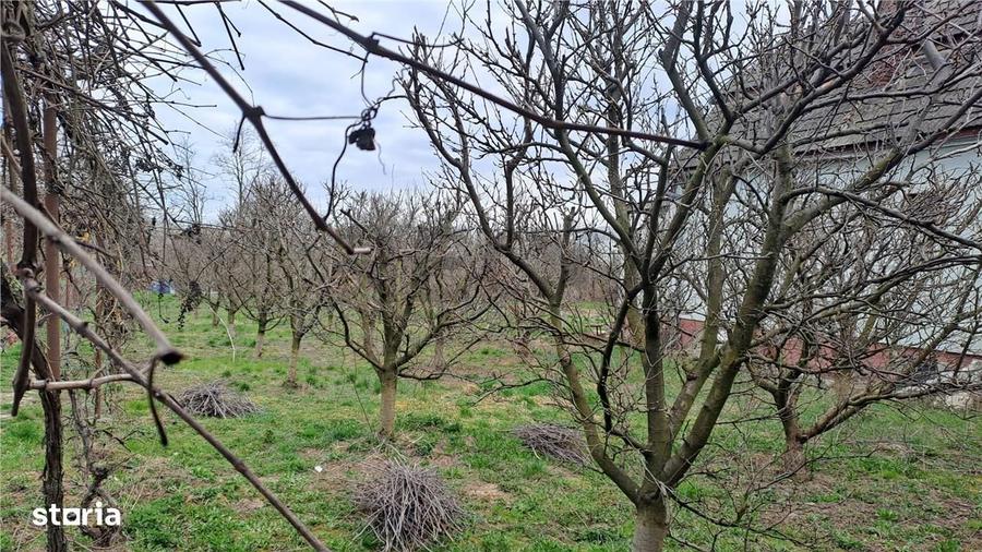 RECO Casa de vanzare in Inand - 9