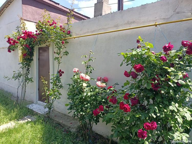 inchiriez casa la curte - 8