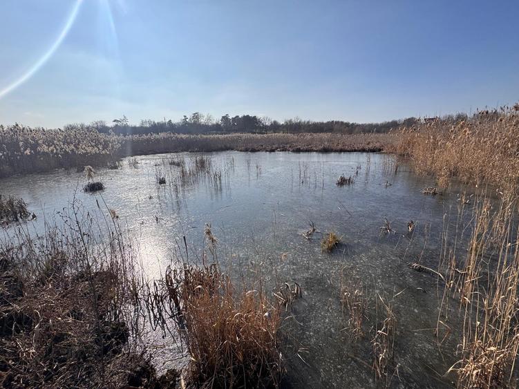Teren cu deschidere la lac strada Orhideelor- conectare imediata la curent - 6